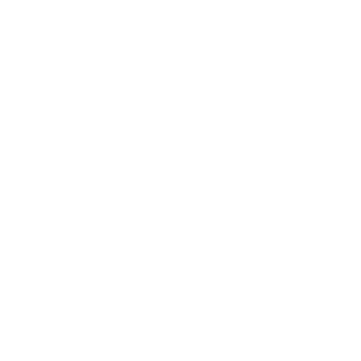 Rowdy.nl logo