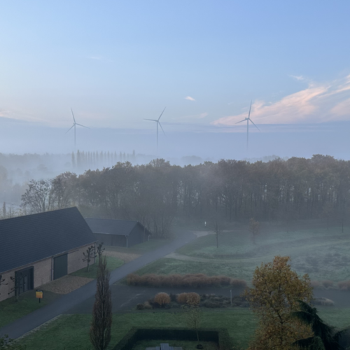 A foggy morning at Greenpark Venlo